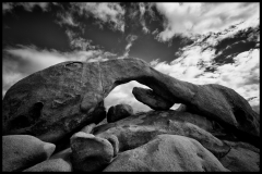Arch Rock | Joshua Tree National Park