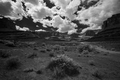 Shafer Trail | Canyonlands National Park