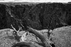 Branch | Black Canyon of the Gunnison National Park